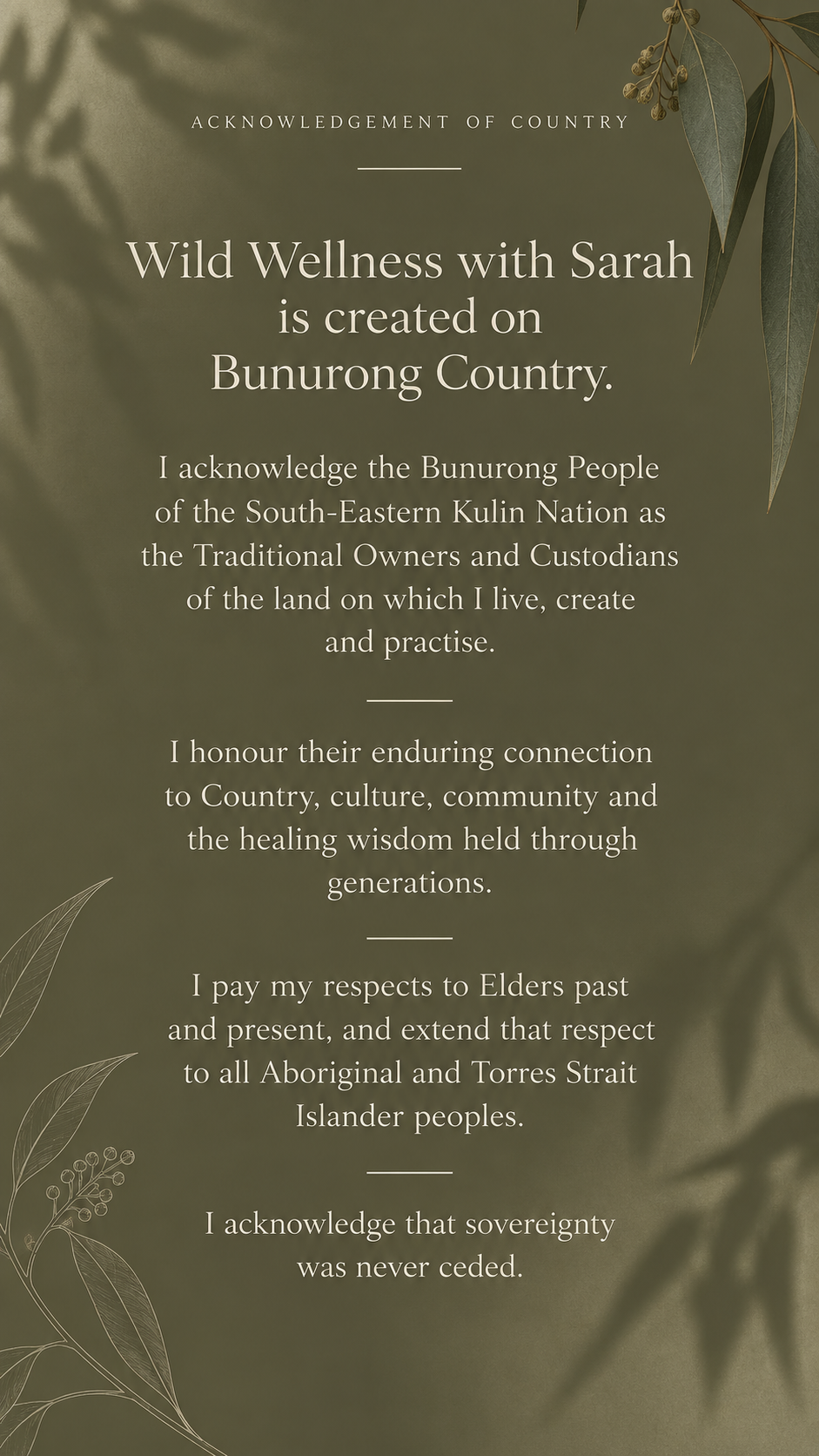 Acknowledgement of Country artwork for Wild Wellness with Sarah